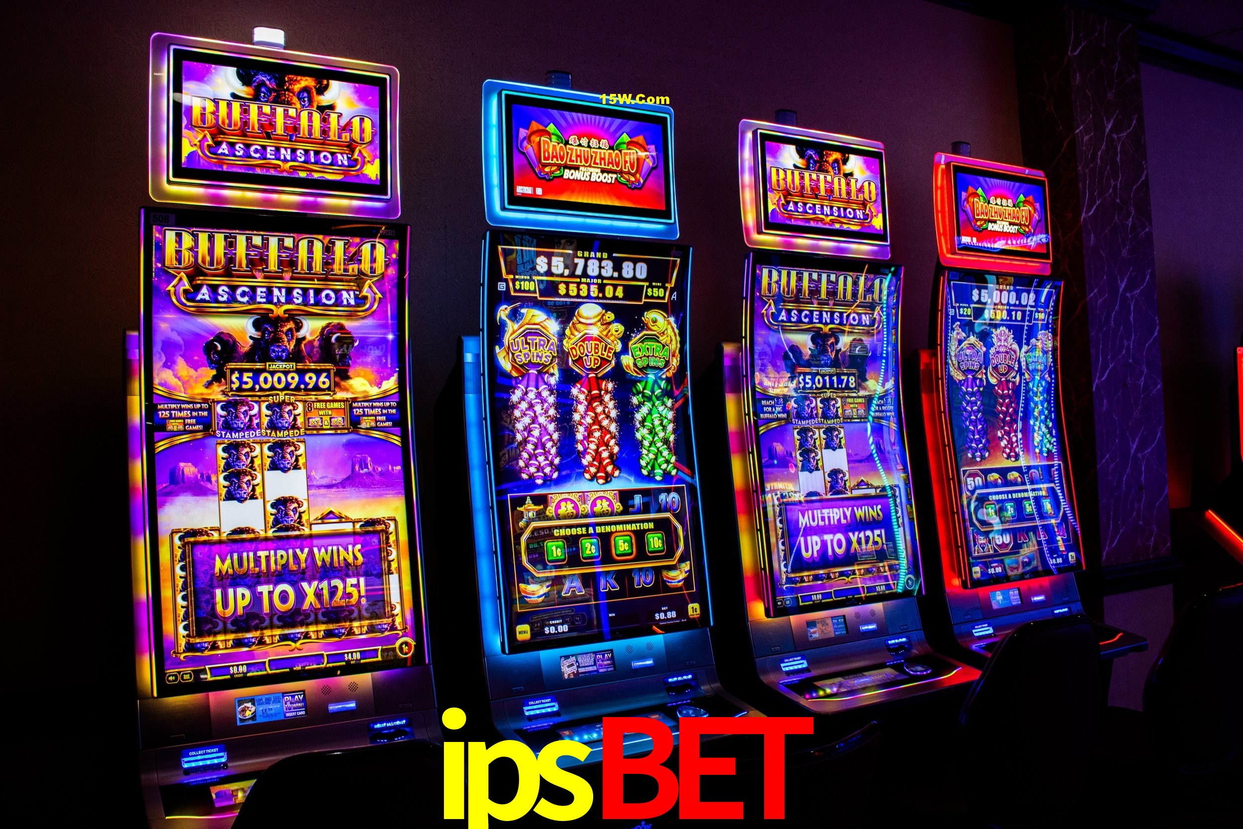 Live Casino ipsbet